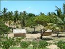 Typical distributed settlements Inhambane South East Africa Mozambique